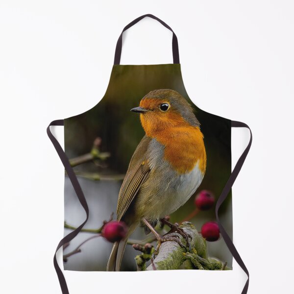 Item preview, Robin Redbreast designed and sold by Violaman.
