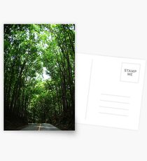 mahogany forest Postcards