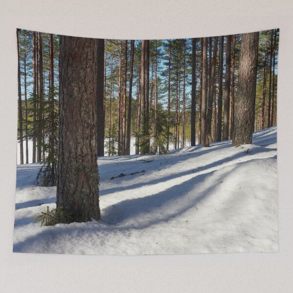 Item preview, Bright days are back. Seitseminen March 2022 designed and sold by Jouko Lehto Photography.