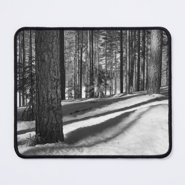Item preview, Bright days are back bw. Seitseminen March 2022 designed and sold by Jouko Lehto Photography.