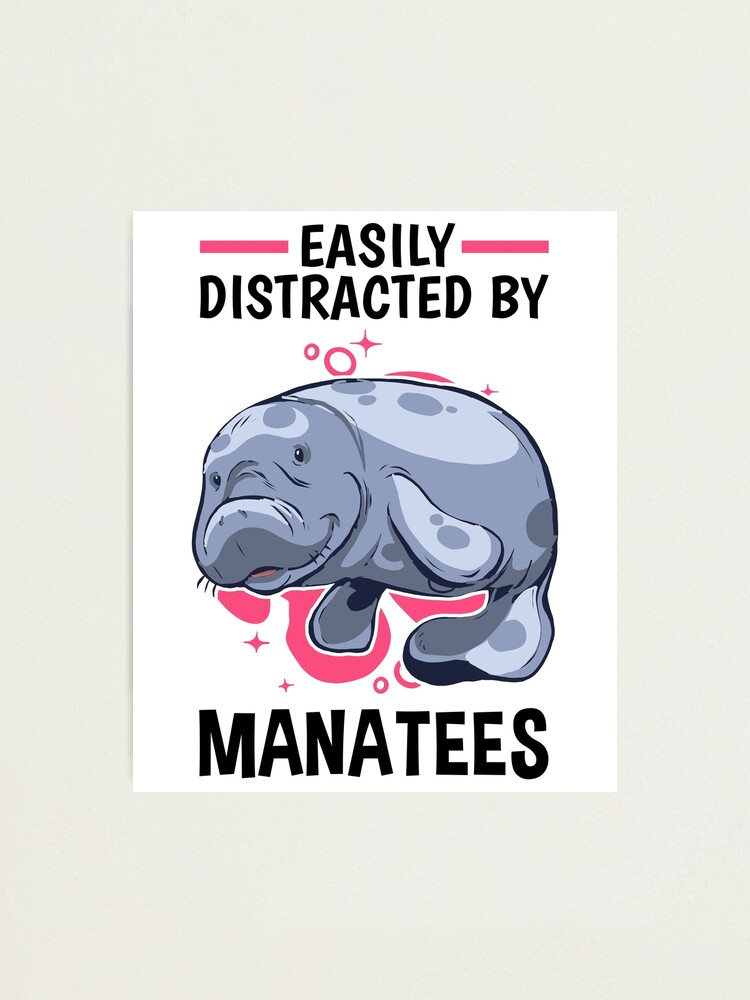 "Distracted by manatees manatee marine mammals" Photographic Print for