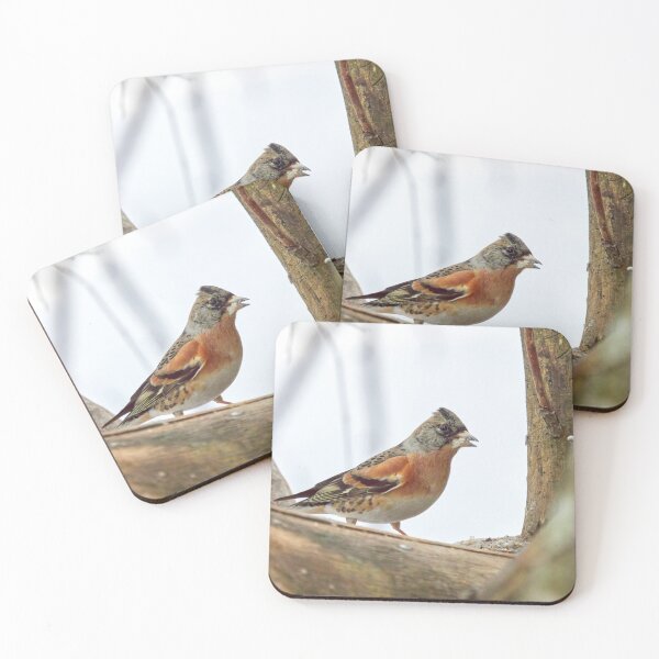 Item preview, Off the mouth. Brambling designed and sold by Jouko Lehto Photography.