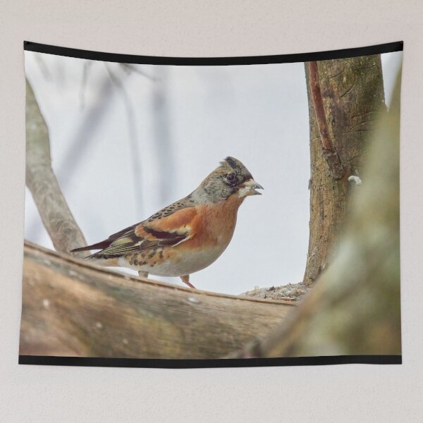 Item preview, Off the mouth. Brambling designed and sold by Jouko Lehto Photography.