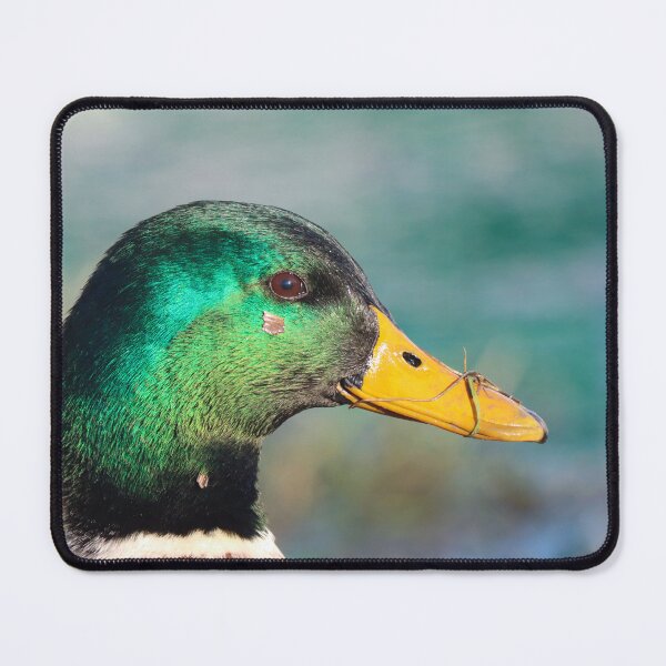 Item preview, Catching the light designed and sold by GreyFeatherPhot.