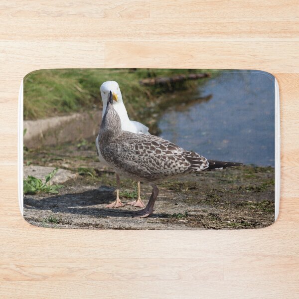 Item preview, Begging seagull chick designed and sold by GreyFeatherPhot.
