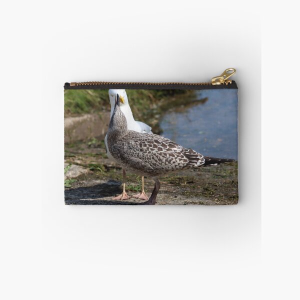 Item preview, Begging seagull chick designed and sold by GreyFeatherPhot.