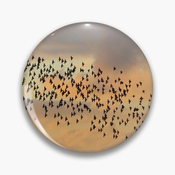 Item preview, Starling sillhouettes designed and sold by GreyFeatherPhot.