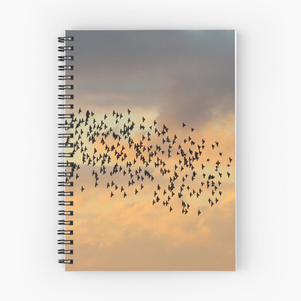 Item preview, Starling sillhouettes designed and sold by GreyFeatherPhot.