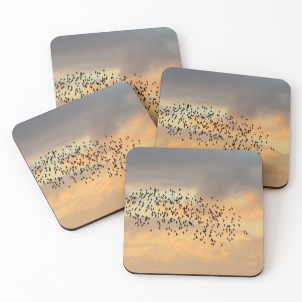 Item preview, Starling sillhouettes designed and sold by GreyFeatherPhot.