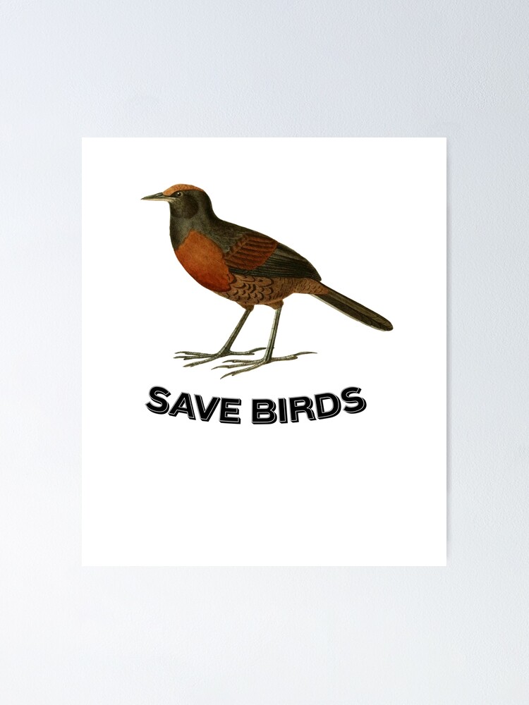 SAVE BIRDS, save wildlife, animals, earth, nature SAVE BIRDS, save wildlife, animals, earth, nature