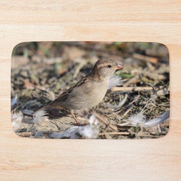 Item preview, Female house sparrow designed and sold by GreyFeatherPhot.