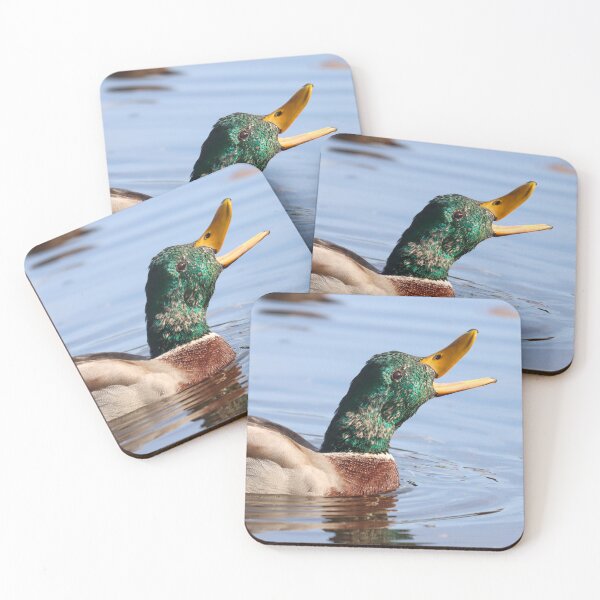 Item preview, Happy mallard designed and sold by GreyFeatherPhot.