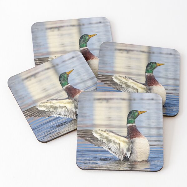 Item preview, In a flap designed and sold by GreyFeatherPhot.