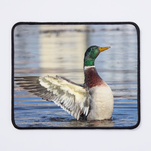 Item preview, In a flap designed and sold by GreyFeatherPhot.