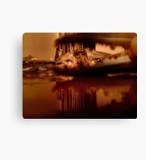 accidental art Canvas Print