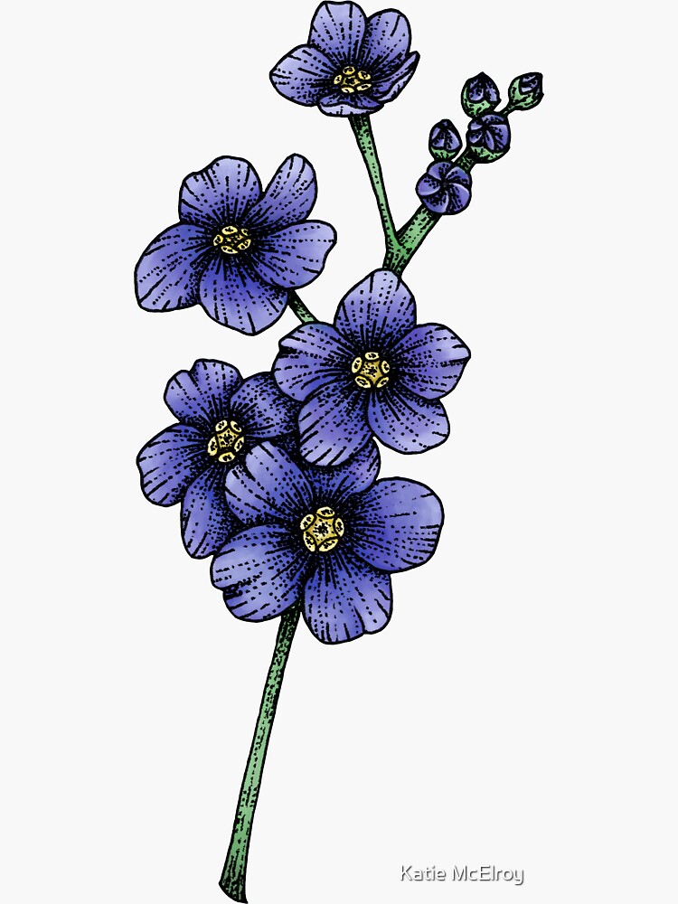 Botanical Illustration Card Forget-Me-Not