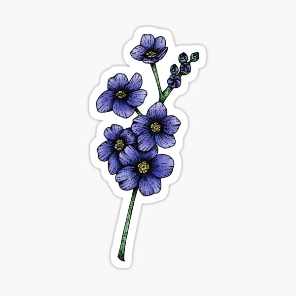 Forget Me Not Color Sticker By She Orc Redbubble