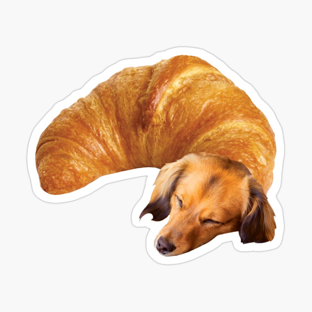 Poster for Sale avec lœuvre « Chien Croissant » de lartiste  DonJuanStudios | Redbubble