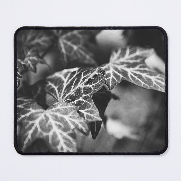 Item preview, ‘White Lines’ - wild Ivy in Black & White designed and sold by sleepingdogprod.