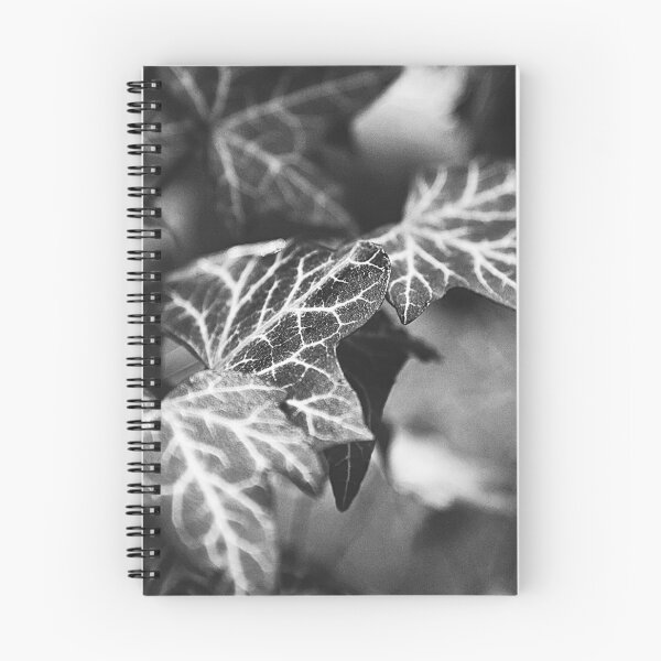 Item preview, ‘White Lines’ - wild Ivy in Black & White designed and sold by sleepingdogprod.