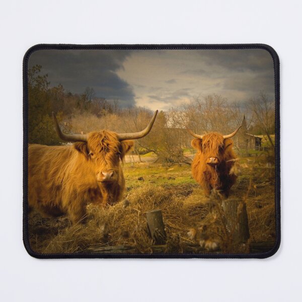 Item preview,  Heeland Coos... :)) designed and sold by Gisele Bedard.