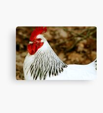 Who's the Man? That's right! Canvas Print