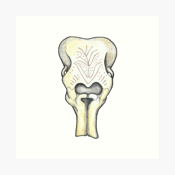 Mammoth skull Ice Age art from Mezhyrich, Ukraine Art Print