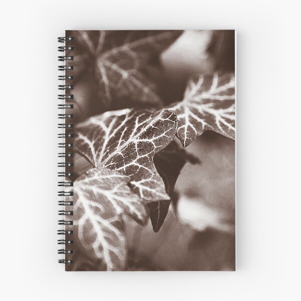 Item preview, ‘White Lines’ - wild Ivy in sepia tones designed and sold by sleepingdogprod.