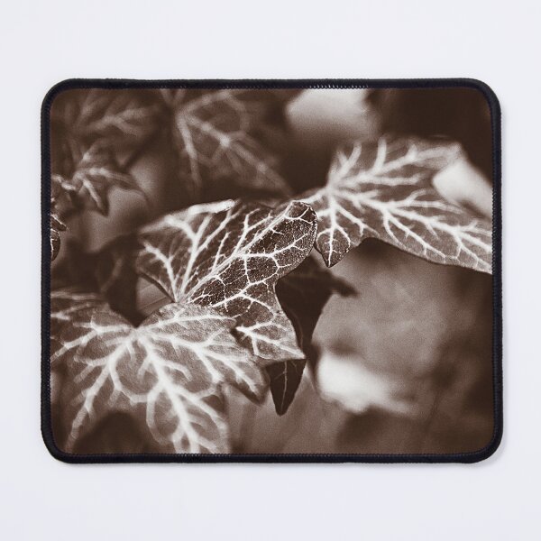 Item preview, ‘White Lines’ - wild Ivy in sepia tones designed and sold by sleepingdogprod.