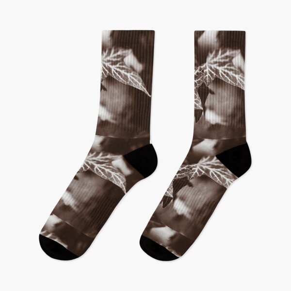 Item preview, ‘White Lines’ - wild Ivy in sepia tones designed and sold by sleepingdogprod.