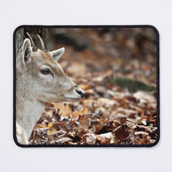 Item preview, The Little Fawn designed and sold by Gisele Bedard.
