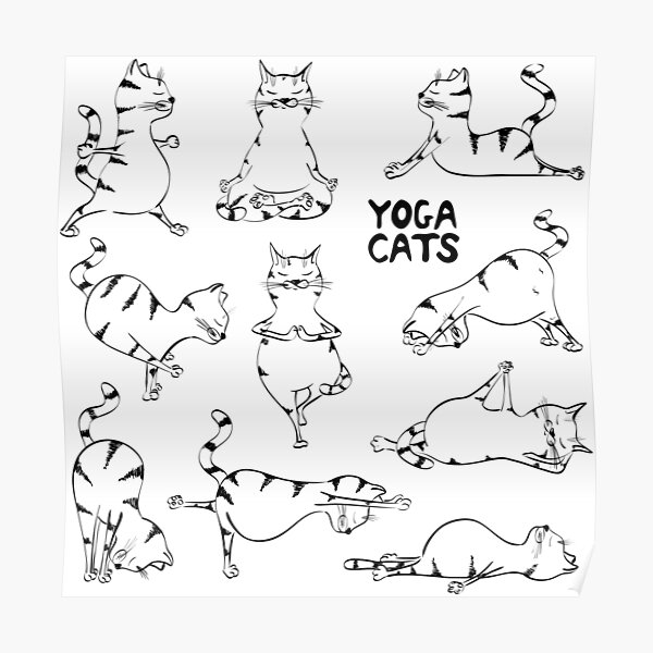 YOGA CATS Poster