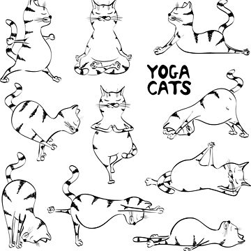 Leggings Yoga Cats