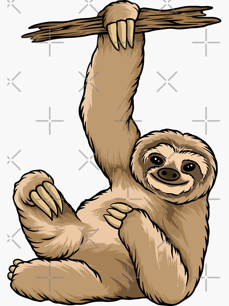 sloths hanging