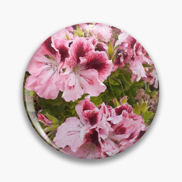 Item preview, Pelargonium Flower Peach Pink designed and sold by Sarah  Rajkotwala.