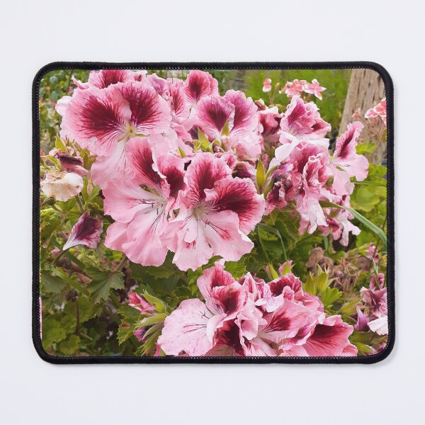 Item preview, Pelargonium Flower Peach Pink designed and sold by Sarah Rajkotwala.