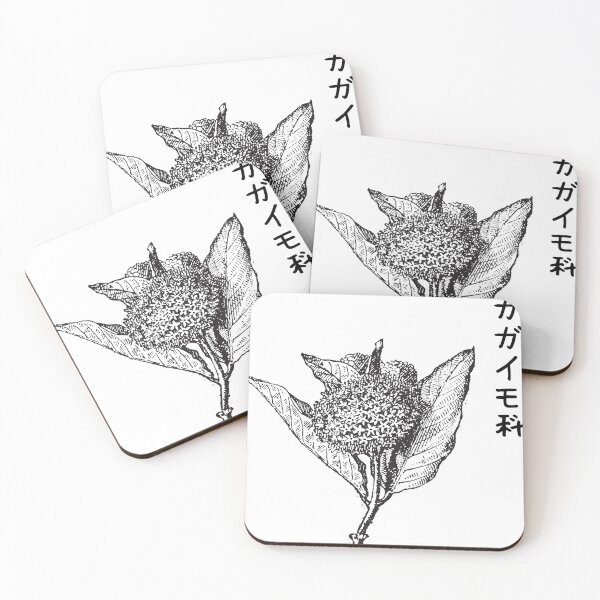 Item preview, Milkweed ガガイモ科 Plant Scientific Nature Japanese Black White designed and sold by Snoot-Store.