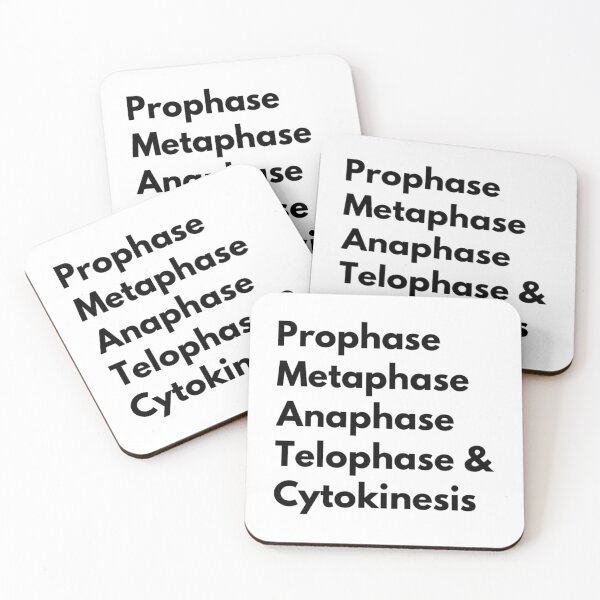 Item preview, Prophase Metaphase Anaphase Telophase & Cytokinesis designed and sold by Katherine Winner.