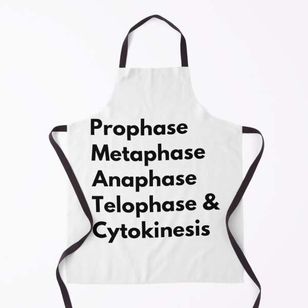 Item preview, Prophase Metaphase Anaphase Telophase & Cytokinesis designed and sold by Katherine Winner.