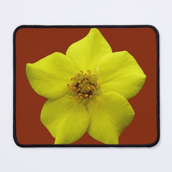 Item preview, Shrubby Cinquefoil #1 designed and sold by GobaFineArts.