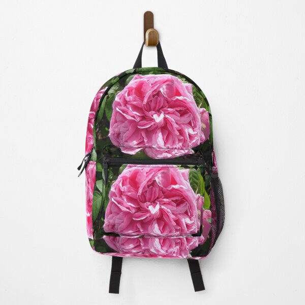 Item preview, Pink Vintage Rose Cabbage Paul Ricault designed and sold by Sarah Rajkotwala.