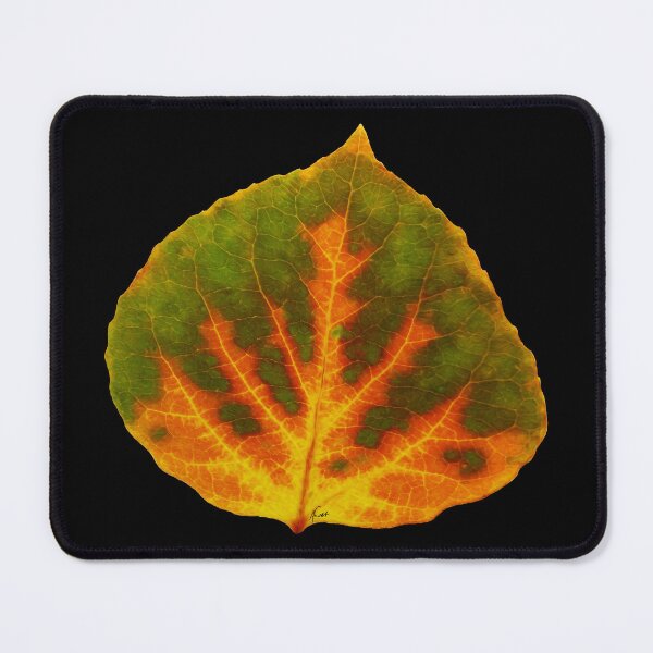 Item preview, Green Orange & Yellow Aspen Leaf #1 designed and sold by GobaFineArts.