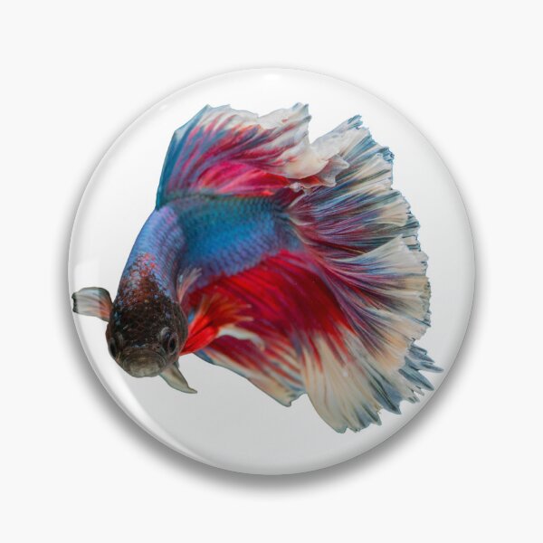 Item preview, Siamese Fighting fish lovely design for people who keep tropical fish designed and sold by Abstractdiva.