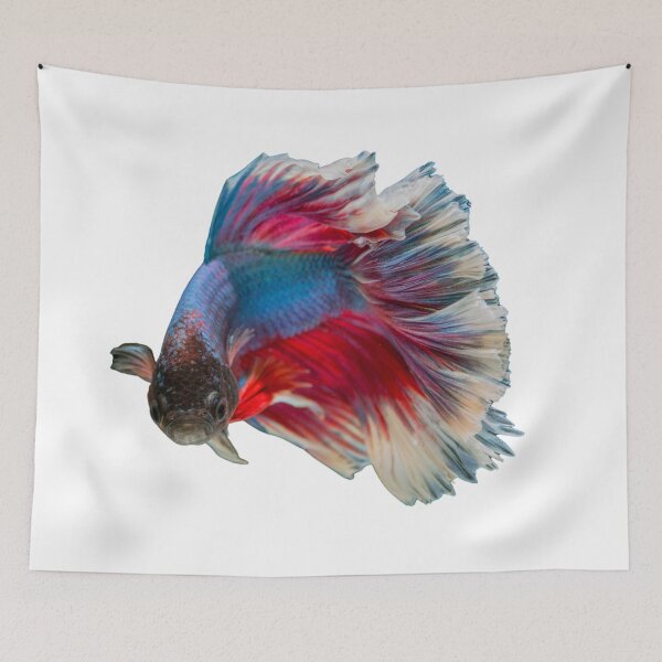Item preview, Siamese Fighting fish lovely design for people who keep tropical fish designed and sold by Abstractdiva.