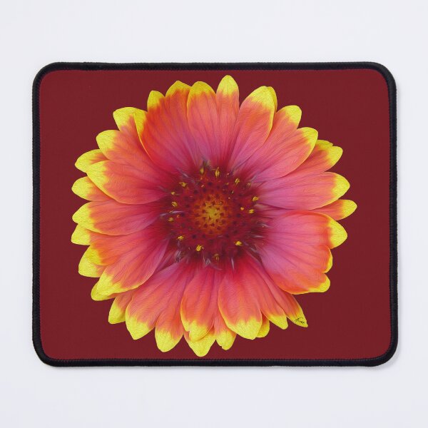 Item preview, Gaillardia 2 designed and sold by GobaFineArts.