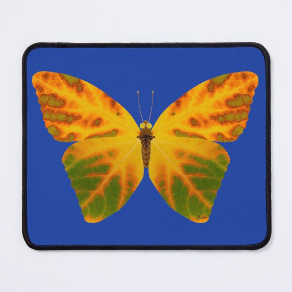 Item preview, Aspen Leaf Butterfly 1 designed and sold by GobaFineArts.