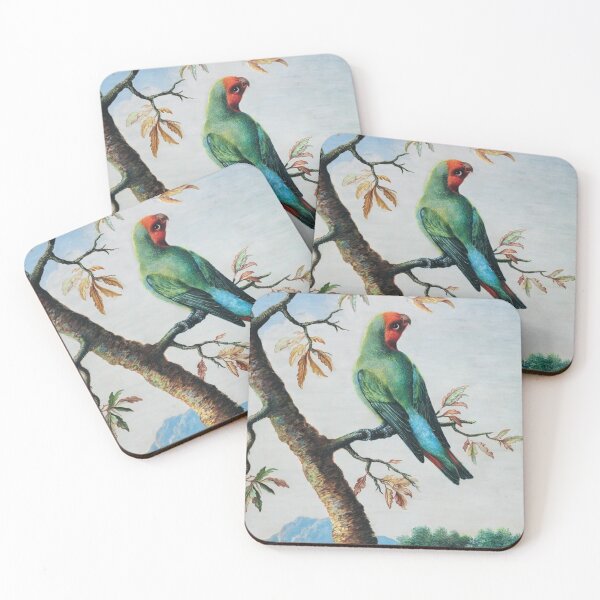 Item preview, Bird Study designed and sold by TheArtShop0528.