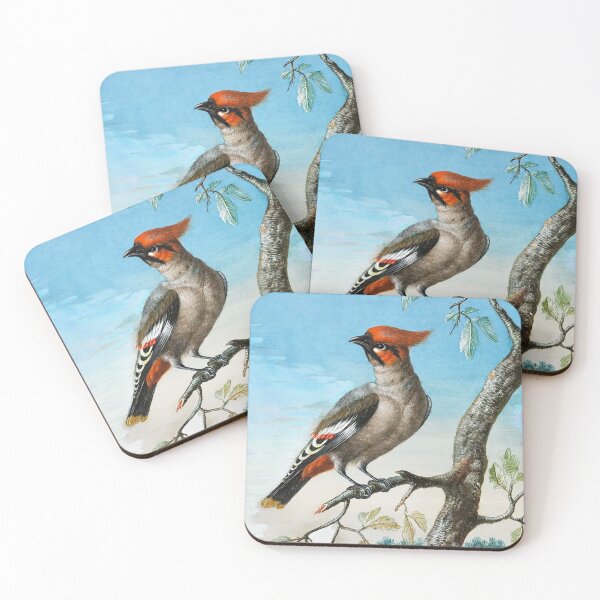 Item preview, Bird Study designed and sold by TheArtShop0528.