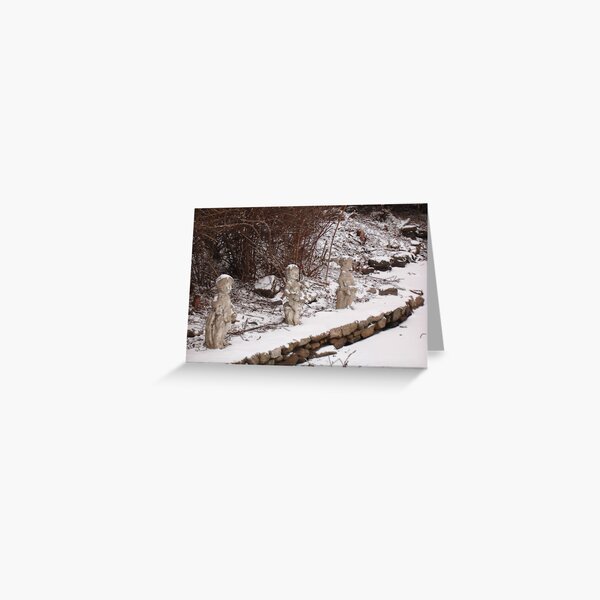 Winter on the Pond Greeting Card