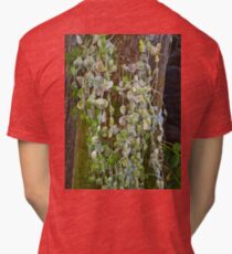 Hawaiian Vine Tri-blend T-Shirt